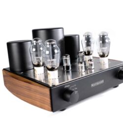 MastersounD Evolution 300B
