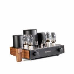 MastersounD Evolution 300B