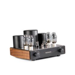 MastersounD Evolution 300B