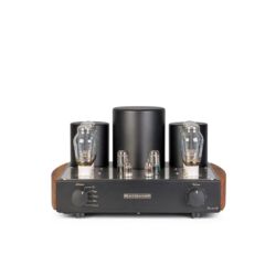 MastersounD Evolution 300B