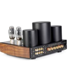 MastersounD Evolution 300B