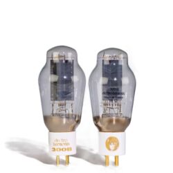 MastersounD Evolution 300B