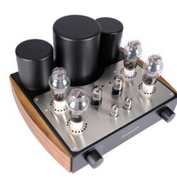 MastersounD Evolution 300B