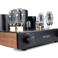 MastersounD Evolution 300B