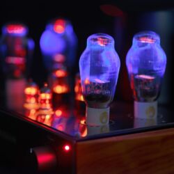 MastersounD Evolution 300B