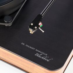 Dr. Feickert Analogue Blackbird