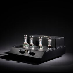 Audio Note Cobra Röhrenvollverstärker