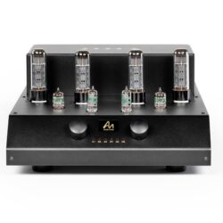 Audio Note Cobra Röhrenvollverstärker