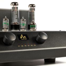 Audio Note Cobra Röhrenvollverstärker