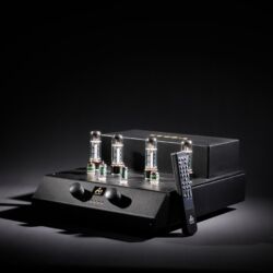 Audio Note Cobra Röhrenvollverstärker