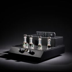 Audio Note Cobra Röhrenvollverstärker