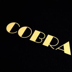 Audio Note Cobra Röhrenvollverstärker