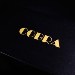Audio Note Cobra Röhrenvollverstärker