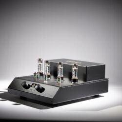 Audio Note Cobra Röhrenvollverstärker