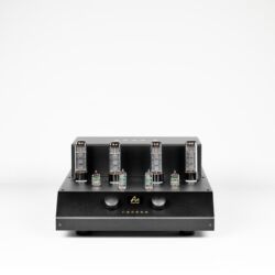 Audio Note Cobra Röhrenvollverstärker