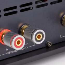 AVM Ovation CS 8.3