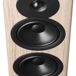 Dynaudio Evoke 30