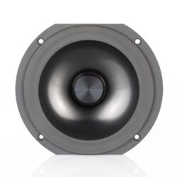 Audio Physic Cardeas Standlautsprecher