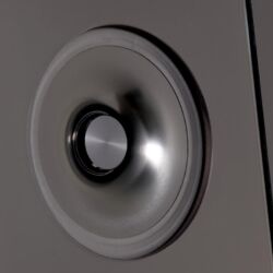 Audio Physic Cardeas Standlautsprecher