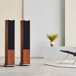 Audiovector R6 Arrete Standlautsprecher
