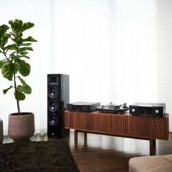 Mark Levinson No. 5101