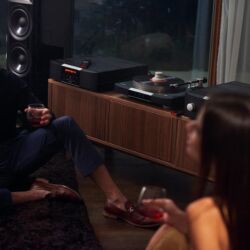Mark Levinson No. 5101