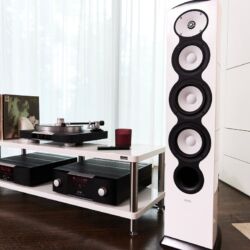 Mark Levinson No. 5101