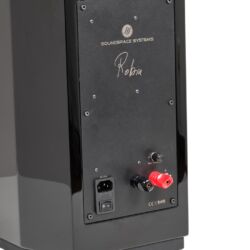 SoundSpace Systems Robin teilaktiver Standlautsprecher